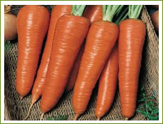 Carrots