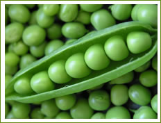 Pea Pod